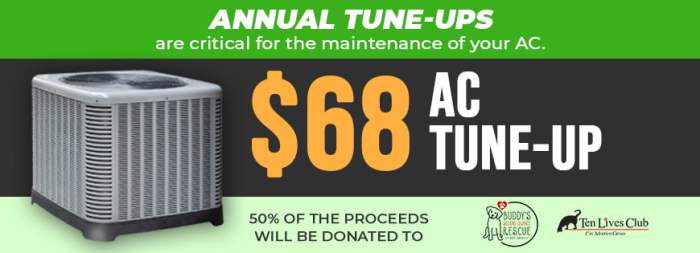 6 Reasons Why You Should Tune-Up Your AC Before Summer Hits in Western NY 6 Reasons Why You Should Tune-Up Your AC Before Summer Hits in Western NY